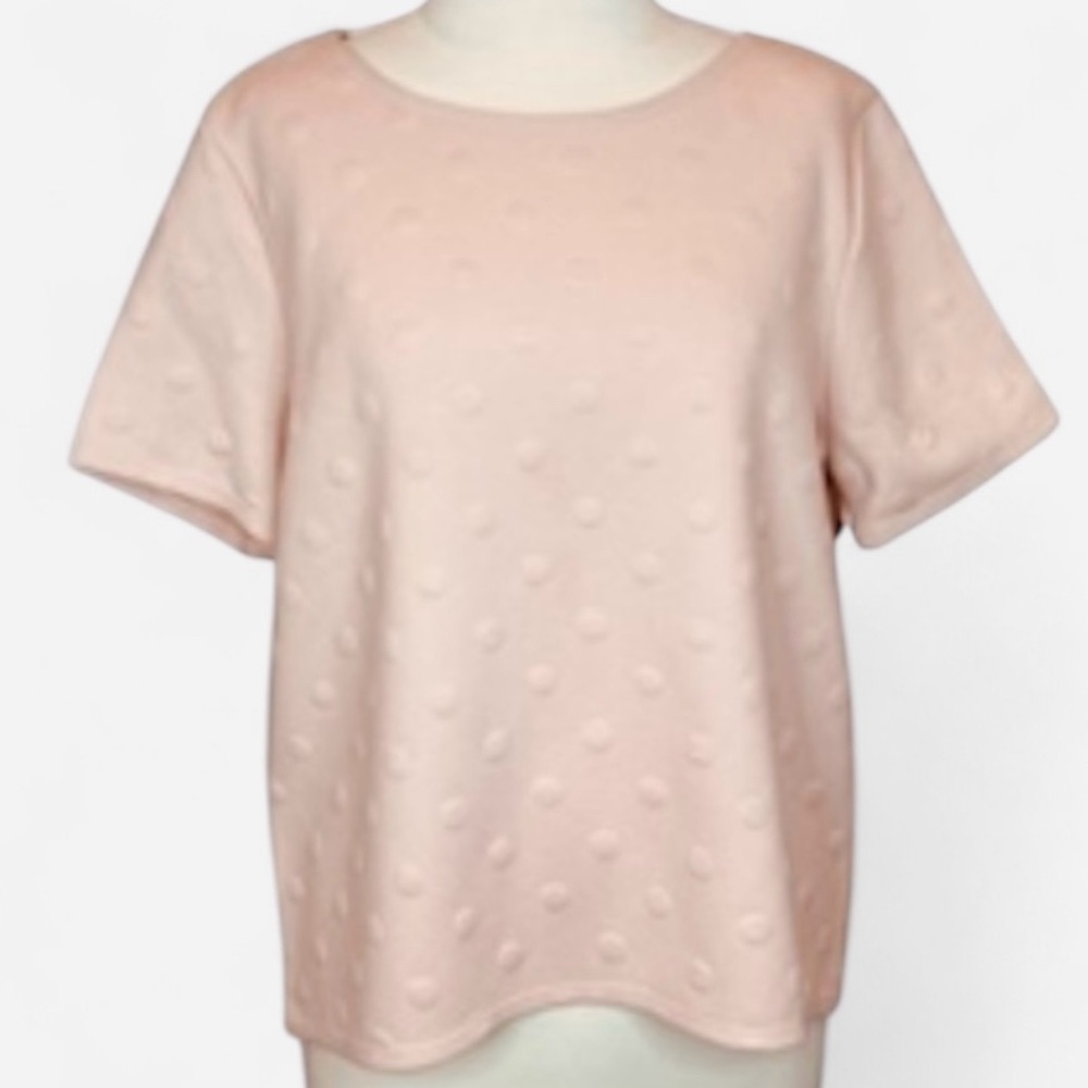 Anthropologie W5 Blush Pink Textured Polka Dot Short Sleeve Top Size M NWT